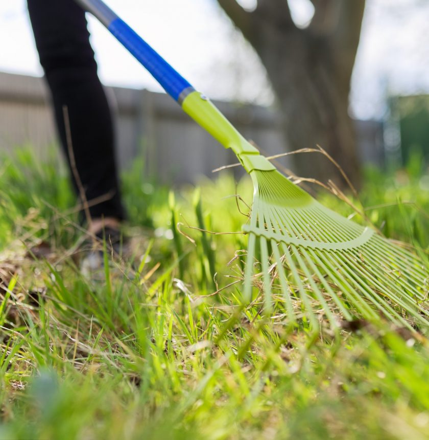 Spring cleaning in the garden, closeup rake cleaning green grass